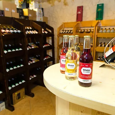 Affittacamere Vinarsky Dum Kopecek